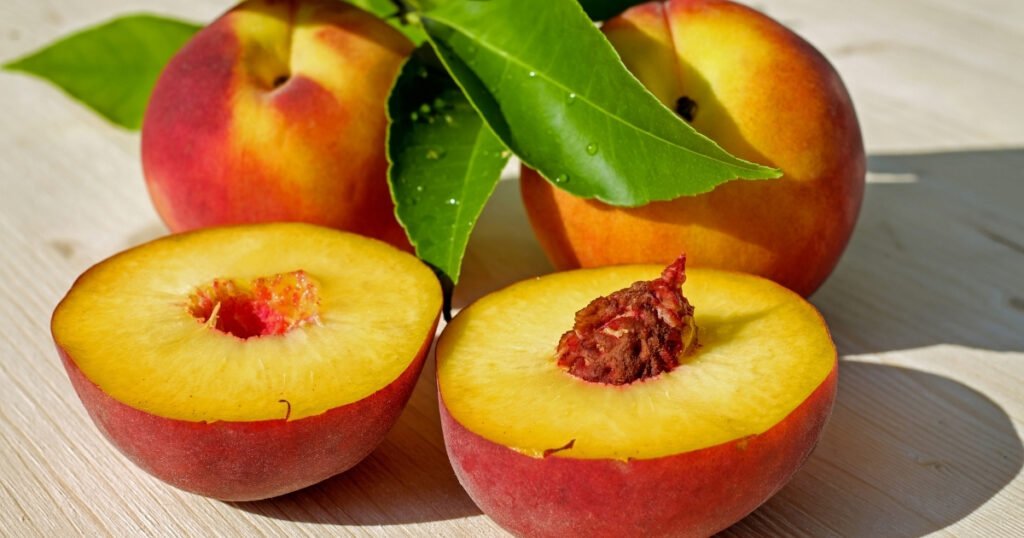 50 Soft Foods to Eat After Tooth Extraction for a Speedy Recovery!(Dentist-Approved) 22 50 Soft Foods to Eat After Tooth Extraction