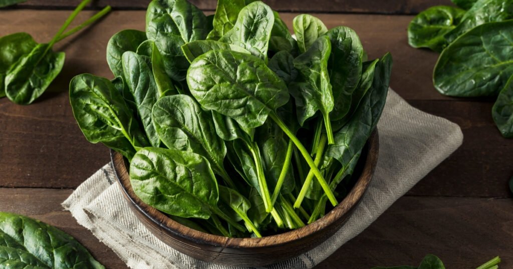 50 Soft Foods to Eat After Tooth Extraction for a Speedy Recovery!(Dentist-Approved) 31 50 Soft Foods to Eat After Tooth Extraction