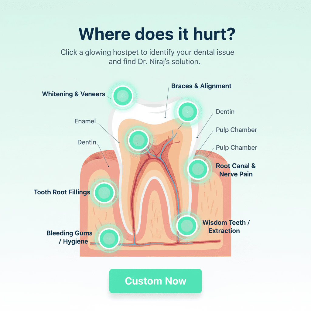 Home 4 Tooth Anatomy Map
